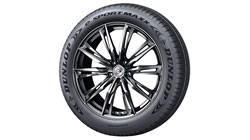 鄧祿普e.SPORT MAXX開啟EV輪胎新紀(jì)元