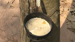 【集團新聞】保障供應(yīng)，住友橡膠成立新加坡子公司