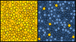 【集團新聞】傲領(lǐng)科技之先，住友橡膠最新成果